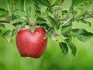 DUPL�ZD MEG A J�VEDELMED!